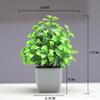 Ornamentos de plantas em vasos de plantas verdes de simulação Combinação de plantas Ornamentos de mesa internos Simulação de bonsai de planta de flor artificial de eucalipto