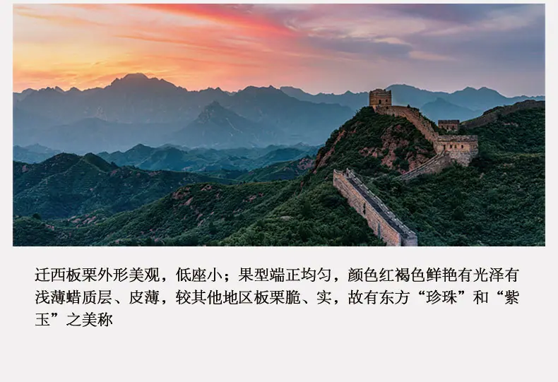 新老树_04.jpg