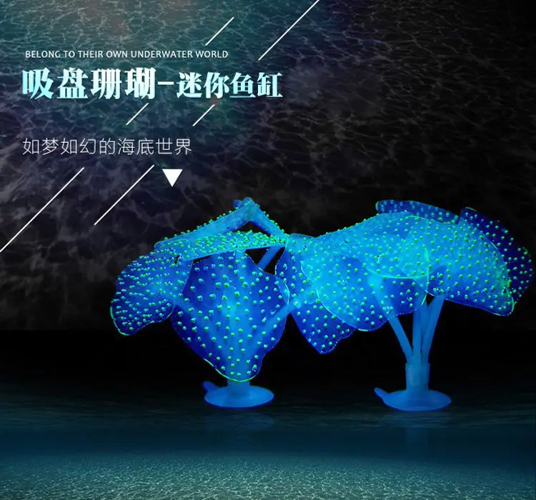 750详情_01