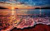 Venta Caliente Transfronteriza Paisaje de Playa de Hawái Pintura al Óleo Atardecer Mar Dorado Palmera Tropical Arte de Pared Pintura Decorativa para el Hogar