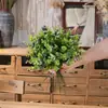 Decoração de Casa Galho Único de Eucalipto Estilo Ins Flor Artificial Fabricante Comércio Exterior Casamento Atacado Flores Artificiais e Plantas Verdes