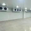 Almacén Frío Comercial Grande Equipo Completo Mariscos Carne Productos Acuáticos Congelación Rápida Congelador Fabricante Suministro