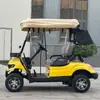 Atracción turística carrito de golf eléctrico, vehículo de paseo para resort de parque de atracciones, carrito de golf para zoológico