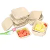 Caja de Almuerzo Desechable de Pulpa de Papel, Caja Biodegradable para Ensalada de Frutas, Caja de Almuerzo para Llevar Engrosada Impermeable y a Prueba de Grasa