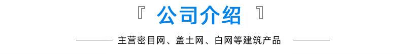 公司介绍