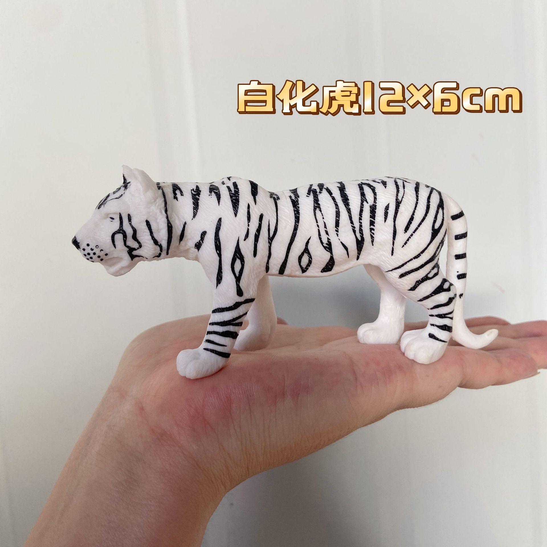 白化虎