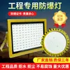 Luz LED Antiexplosiva, Reflector Exterior, Foco, Almacén, Fábrica, Emergencia, Planta Química, Reflector de Búsqueda Impermeable para Exteriores
