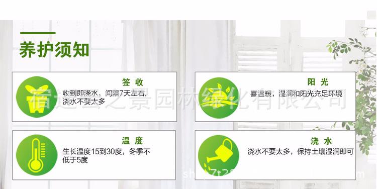 鐞村彾姒曡缁?5