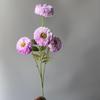 Jardín de Monet Flores Artificiales Peonía de Mil Capas de Cuatro Cabezas Venta al por Mayor Transfronteriza Loto de Cuatro Cabezas Flores para Bodas Flores de Seda