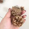 Múltiples piñas con clavos se pueden ensartar piñas piñas flores secas decoración de frutas colgante de piña actividad diy decoración