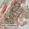Pedras Strass Mini Flat-Back Populares para Nail Art na Cor Champagne, em Formato de Coração, Gota, Marquise e Cristais Irregulares, Decorações Deslumbrantes e Versáteis para Nail Art
