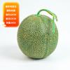 Frutas Simuladas, Modelos de Limón de Fruta Falsa, Accesorios de Fotografía de Manzana Falsa, Accesorios de Rama, Adornos Decorativos para Arreglo de Escena