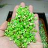 6 * 2mm Acessórios para joias DIY contas espaçadoras turquesa otimizadas espaçador contas de pedra Shoushan fecho de segurança contas espaçadoras para pulseira