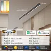 Luminária de Teto Longa Minimalista de Sobrepor para Sala de Estar, Corredor Criativo, Corredor, Varanda Ensolarada e Varanda - Modelo Novo 2026