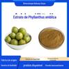 Extrato de Phyllanthus Emblica, Pó de Phyllanthus Emblica, Óleo, Extrato de Phyllanthus Emblica, Pó de Fruta de Phyllanthus Emblica Solúvel em Água, Fornecimento Direto da Fábrica a Partir de 1kg