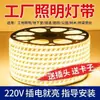 Luz de Alto Voltaje 220V con Luz LED Impermeable de Ingeniería para Exteriores con Luz Lineal Flexible para Decoración del Hogar en Interiores y Exteriores Alto Brillo Venta al por Mayor