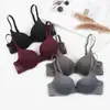 Sutiã sem costura brilhante de fábrica, cor clara, taça B, top sutiã sexy de V profundo para mulheres, lingerie com bojo, primavera e verão