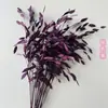 Hierba Xiao Pan Flor Eterna Yunnan Fábrica de Flores Secas Venta al por Mayor Nuevos Clientes Disfrutan de Buenos Regalos Regalo de Navidad Accesorios para Sesiones de Fotos