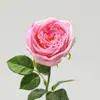 Flor Artificial Rosa Elsa Humectante Decoración de Escena de Boda para el Hogar Fabricante de Flores Artificiales Venta al por Mayor Accesorios para Fotografía