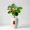 Planta Verde Pequeña en Maceta con Frutos, Maceta de Cerámica Árbol Bodi, Adorno de Escritorio Estilo Zen Chino, Fácil de Cuidar