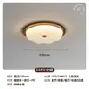 Lámpara de Techo para Interiores de Alto Brillo con Protección Ocular, Estilo Retro Mid-Century con Flores, Sin Costuras, Ahorradora de Energía, para Baño, Dormitorio, Cocina