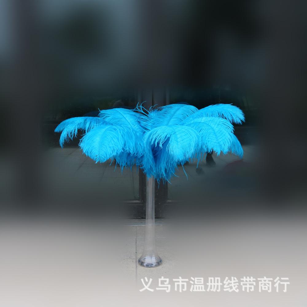 8 鸵大杆 60-65cm 3(1)
