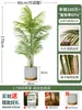 Palmera Areca Artificial Grande de Lujo de Gama Alta, Planta Verde, Árbol Falso, Planta de Bambú Cola de Fénix para Decoración de Paisajismo Tropical de Interiores