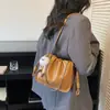 Bolsa Pequena Versátil com Corrente para Mulheres, Nova Bolsa Quadrada Pequena Plissada Nuvem, Bolsa Transversal de Nicho Primavera 2026
