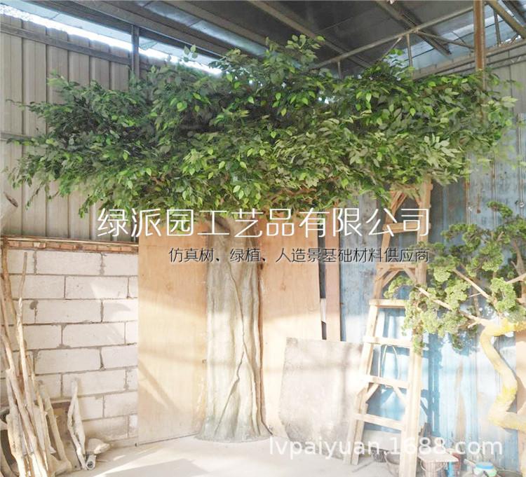 榕树071.jpg