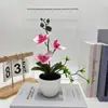 Três Flores Phalaenopsis Areia Negra Bonsai Decoração de Casa Planta em Vaso Simulado Flor Artificial Layout para Fotografia de Casamento Planta Verde Vaso Pequeno