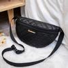 Bolso Cruzado para Cintura de Mujer 2023 Moda de Comercio Exterior Joker Bordado de Diamantes Bolso de Pecho Gran Capacidad Bolso de Nicho para Mujer Venta al por Mayor