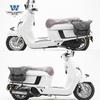 Coche musculoso Wolf adecuado para la bolsa lateral sur Melalisa150 bolsa lateral para casco caja lateral retro modificación liberación rápida especial