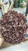 [Niebla Natural Hortensia] Flor Eterna Flor Seca Hortensia Anna Hortensia Lobular Material para Boda DIY Venta al por Mayor
