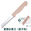 Cuchillo de fruta de acero inoxidable PAIE Baiyi, portátil, pequeño, para el hogar, para raspar, de cocina, para pelar melones y frutas.