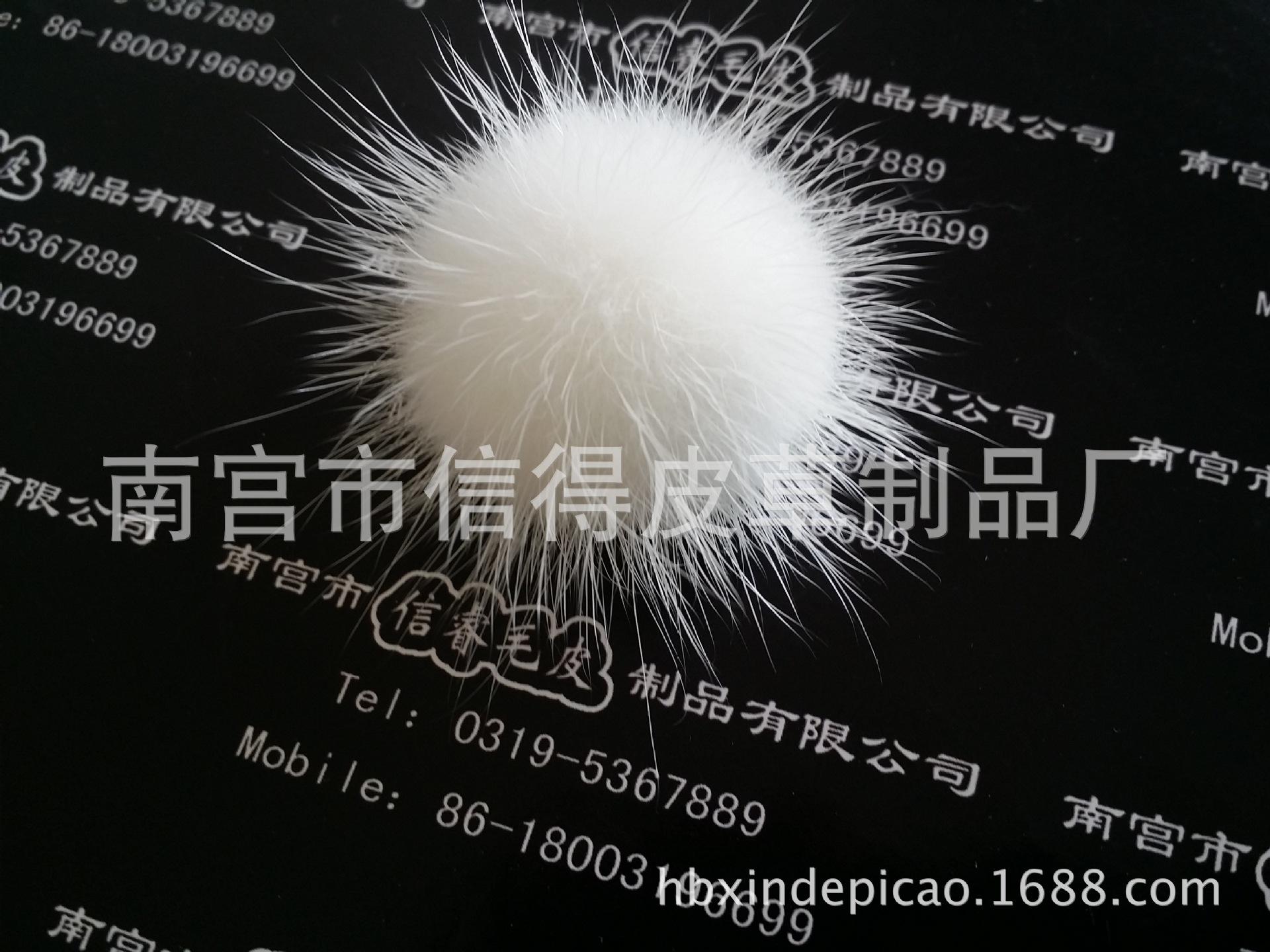 20150825_102718(1)
