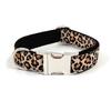 Diseño de Moda Lindo Estampado Hebilla Plateada Collar para Mascota Venta al por Mayor Transfronteriza Collar para Perro Collar para Perro Tallado con Láser