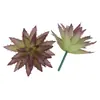 Mini Planta Suculenta Artificial Única Suculenta Falsa Flor Artificial Adorno de Micro Paisaje Oficina Planta Verde Real Artificial Alto
