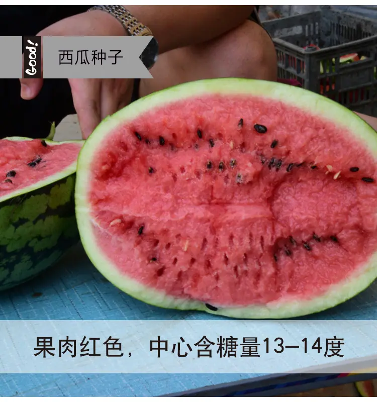 威龙03-1