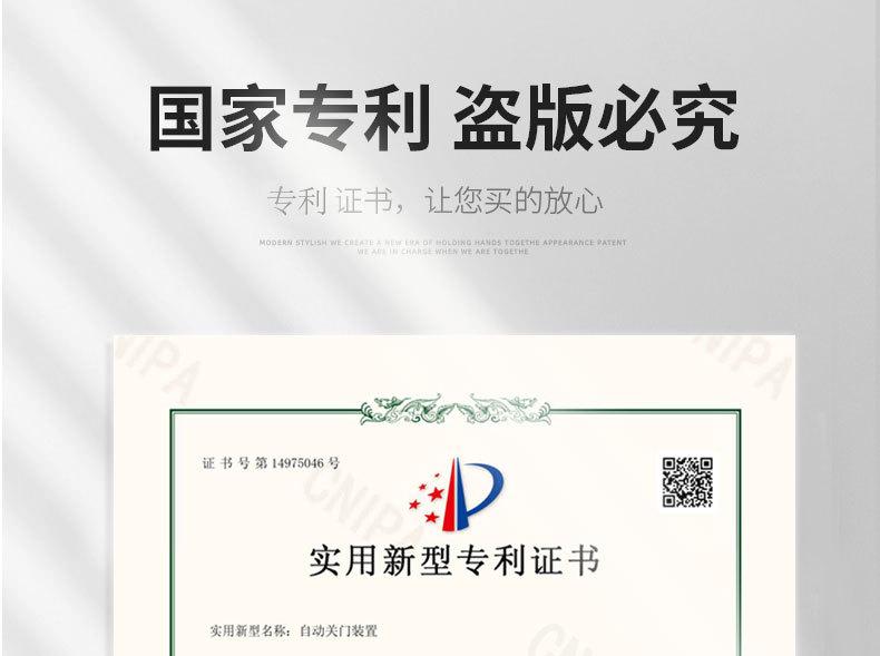 阻尼缓冲款闭门器_03