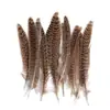 80 Tipos de Penas Naturais de Faisão, Penas Reais, Decorações Nativas Americanas, Acessórios DIY, Acessórios de Cabelo, Peças para Brinquedo de Vara para Gato