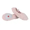 Venta directa de fábrica zapatos de baile personalizados producción anual de 2 millones de pares de zapatillas de ballet zapatillas de garra de gato zapatillas de práctica zapatos de baile de suela blanda