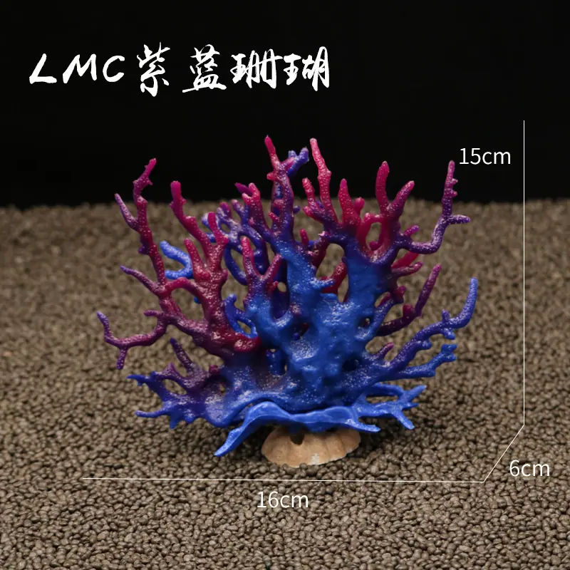 LMC蓝紫珊瑚尺寸
