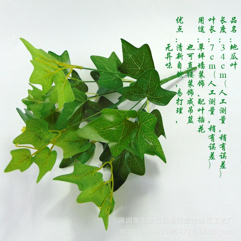 DSC00538 副本
