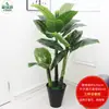 Qin Ye Rong Planta Fotográfica en Maceta Hotel Planta Verde Falsa Biónica Decoración de Sala de Estar Árbol Falso de Pie Flor Falsa Puerta