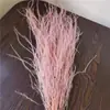 Hierba Barba de Dragón Flor Eterna Flor Seca Real Sueño de Yunnan Decoración Suave Materiales de Arte Fuegos Artificiales Hierba de Pelo Largo Decoración de Boda