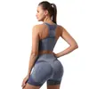 Comercio Exterior Transfronterizo Conjunto de Chaleco Deportivo de Fitness Conjunto de Top de Sujetador Deportivo para Mujer
