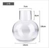 Vaso Hidropônico Simples Escandinavo de Alta Qualidade para Arranjo de Flores de Mesa Doméstica, Ornamentos Ins de Vidro Transparente por Atacado, Plantas Verdes