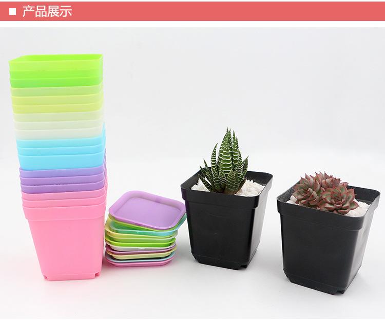 七彩小花盆详细6