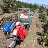 Vehículo de transporte de vía única trepador de huertos Vehículo de transporte agrícola de vía de montaña Vehículo de transporte monorraíl autopropulsado