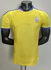 2627 Novas Camisas de Futebol Versão Jogador, o Mesmo Estilo das Camisas Usadas em Partidas da Escócia, País de Gales e Uruguai, Podem Ser Impressas com Números e Enviadas em Nome de Terceiros